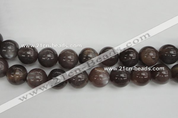 CMS149 15.5 inches 16mm round natural grey moonstone beads