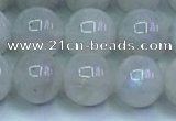 CMS1491 15.5 inches 8mm round white moonstone beads wholesale