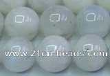 CMS1492 15.5 inches 10mm round white moonstone beads wholesale