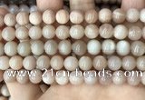 CMS1672 15.5 inches 8mm round moonstone beads wholesale
