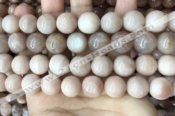 CMS1675 15.5 inches 14mm round moonstone beads wholesale