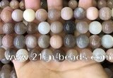 CMS1688 15.5 inches 12mm round rainbow moonstone beads wholesale