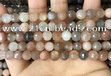 CMS1693 15.5 inches 8mm faceted round rainbow moonstone beads