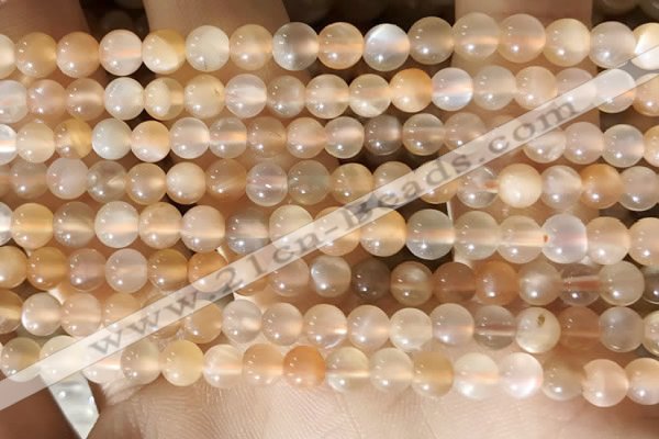 CMS1711 15.5 inches 5mm round rainbow moonstone beads wholesale