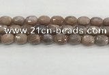 CMS1778 15.5 inches 13*18mm faceted drum AB-color moonstone beads