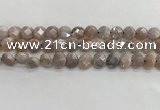 CMS1788 15.5 inches 8mm faceted coin AB-color moonstone beads