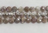 CMS1791 15.5 inches 14mm faceted coin AB-color moonstone beads