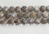 CMS1793 15.5 inches 18mm faceted coin AB-color moonstone beads