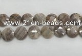 CMS1794 15.5 inches 20mm faceted coin AB-color moonstone beads