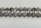 CMS1819 15.5 inches 14mm faceted coin AB-color moonstone beads