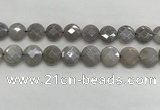 CMS1820 15.5 inches 16mm faceted coin AB-color moonstone beads