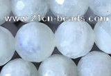 CMS1862 15.5 inches 10mm faceted round white moonstone gemstone beads