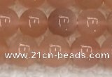 CMS1896 15.5 inches 8mm round moonstone gemstone beads