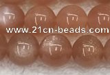 CMS1898 15.5 inches 10mm round moonstone gemstone beads