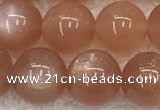 CMS1899 15.5 inches 12mm round moonstone gemstone beads