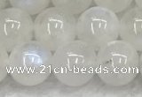 CMS1903 15.5 inches 10mm round white moonstone gemstone beads