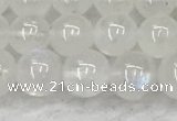 CMS1906 15.5 inches 6mm round white moonstone gemstone beads