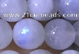 CMS1923 15.5 inches 10mm round white moonstone gemstone beads