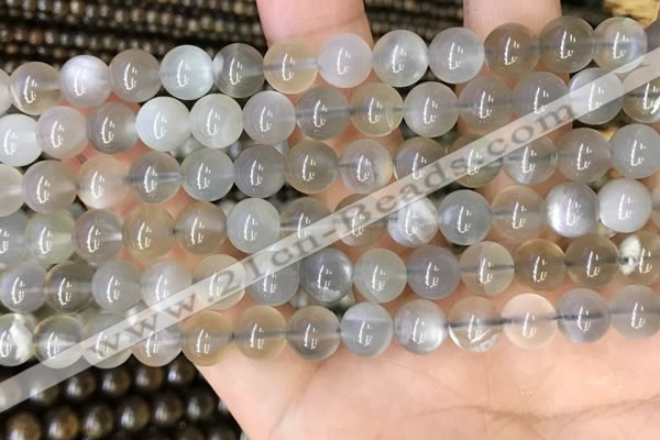 CMS1942 15.5 inches 8mm round grey moonstone beads wholesale