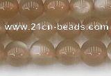 CMS1956 15.5 inches 5mm round natural moonstone gemstone beads