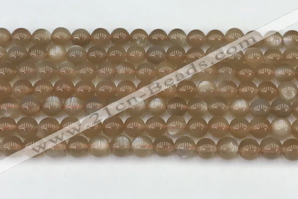 CMS1957 15.5 inches 6mm round natural moonstone gemstone beads