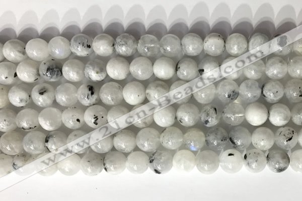 CMS2001 15.5 inches 8mm round white moonstone gemstone beads