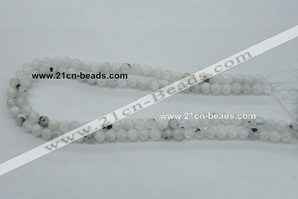 CMS201 15.5 inches 6mm round moonstone gemstone beads wholesale