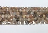 CMS2011 15.5 inches 8mm round moonstone gemstone beads