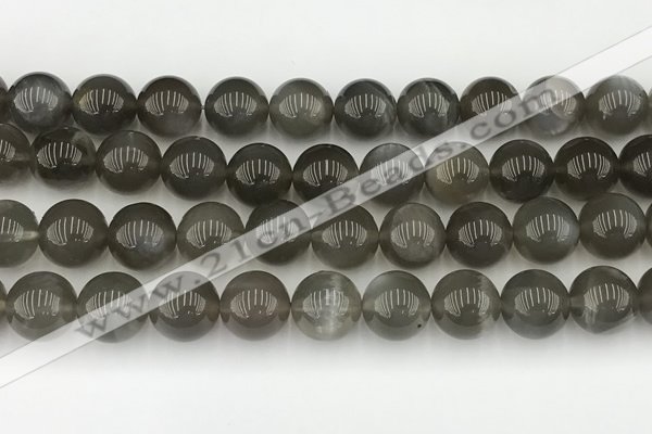 CMS2023 15.5 inches 12mm round black moonstone beads wholesale