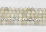 CMS2028 15.5 inches 8mm round white moonstone beads wholesale