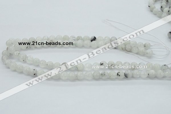 CMS203 15.5 inches 9mm round moonstone gemstone beads wholesale