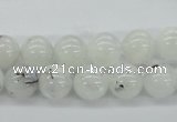 CMS204 15.5 inches 10mm round moonstone gemstone beads wholesale