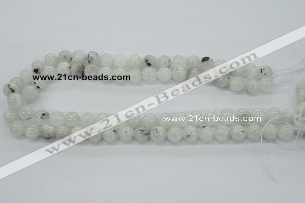 CMS204 15.5 inches 10mm round moonstone gemstone beads wholesale