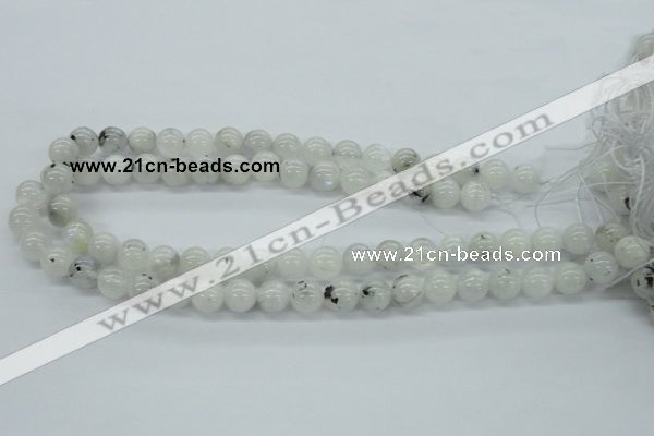 CMS205 15.5 inches 11mm round moonstone gemstone beads wholesale