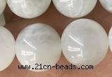 CMS2052 15.5 inches 10mm round moonstone gemstone beads