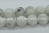 CMS206 15.5 inches 12mm round moonstone gemstone beads wholesale