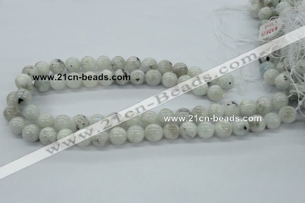 CMS206 15.5 inches 12mm round moonstone gemstone beads wholesale