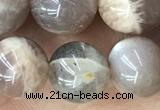 CMS2061 15.5 inches 10mm round moonstone gemstone beads