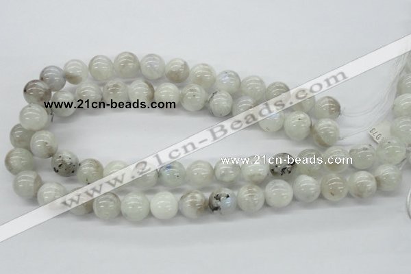 CMS207 15.5 inches 14mm round moonstone gemstone beads wholesale