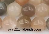 CMS2071 15 inches 8mm round moonstone gemstone beads
