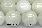 CMS2097 15 inches 10mm round white moonstone beads