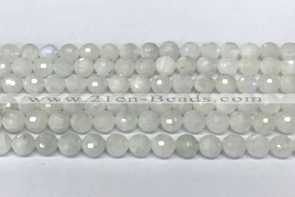 CMS2124 15 inches 8mm faceted rondelle white moonstone beads