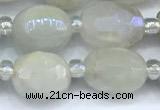 CMS2130 15 inches 8*10mm - 9*12mm faceted nuggets AB-color moonstone beads