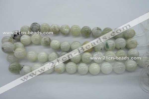 CMS217 15.5 inches 16mm round white moonstone gemstone beads