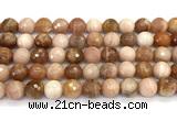 CMS2282 15 inches 10mm faceted round moonstone beads