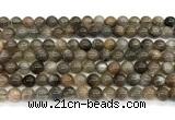 CMS2287 15 inches 6mm round grey moonstone beads wholesale