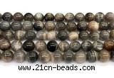 CMS2289 15 inches 10mm round grey moonstone beads wholesale