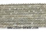 CMS2293 15 inches 4mm round grey moonstone beads wholesale