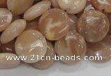 CMS23 15.5 inches 14mm flat round moonstone gemstone beads wholesale