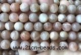 CMS2357 15 inches 10mm round moonstone beads wholesale